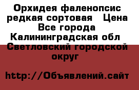 Орхидея фаленопсис редкая сортовая › Цена ­ 800 - Все города  »    . Калининградская обл.,Светловский городской округ 